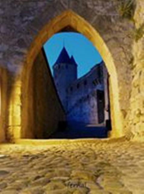 La Bulle Familles Clim, Wifi, Airport Shuttle,Tout A Pied Carcassonne Ngoại thất bức ảnh